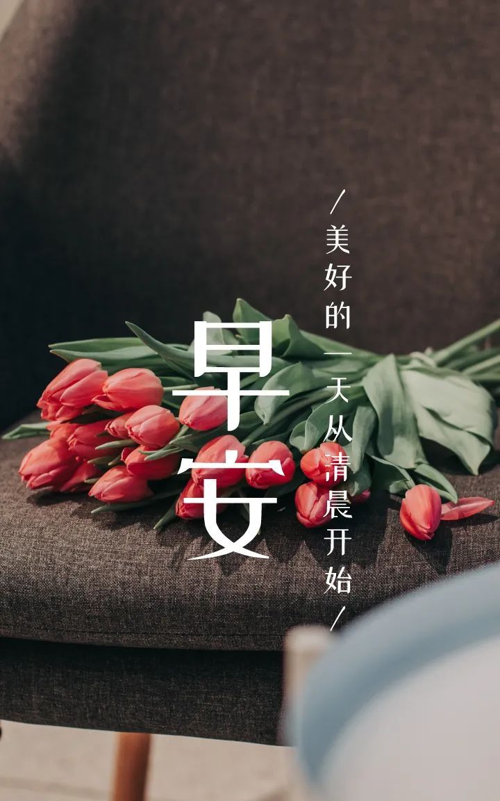 早上好图片语录正能量