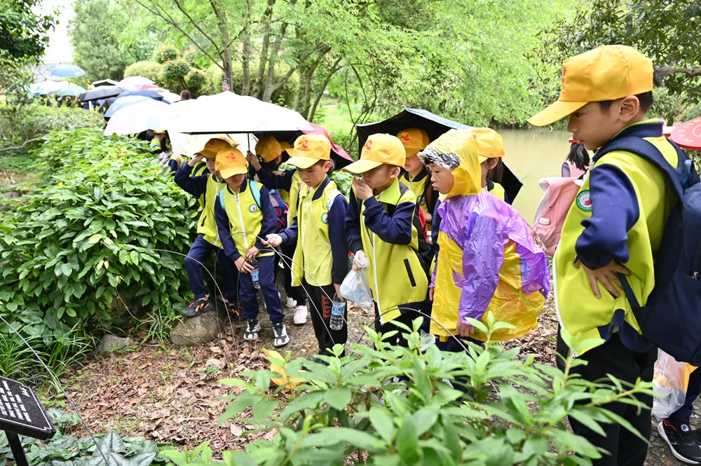 寿仙谷破壁灵芝孢子粉功效选择孢子粉最佳方案