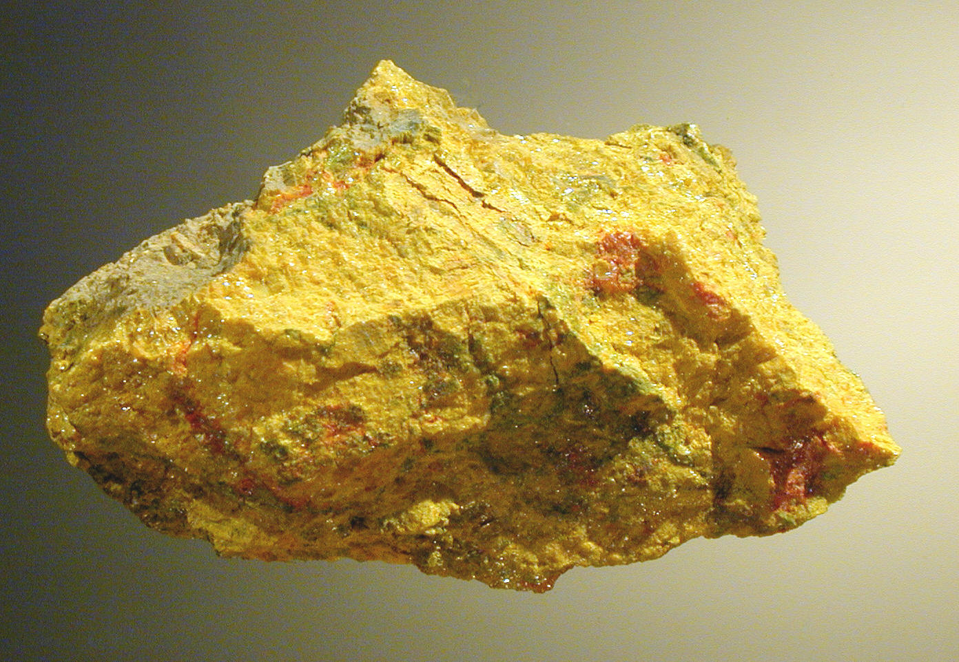 蛇最怕什么？两场实验证明：蛇真的不怕雄黄粉，专家说明了原因休闲区蓝鸢梦想 - Www.slyday.coM