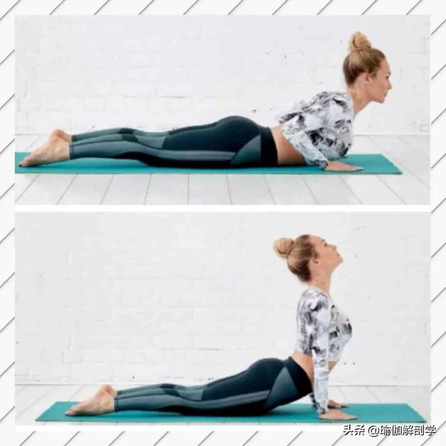 收紧核心,含胸弓背向上重复练习15-20次2,猫牛式双膝跪地,脚背压地