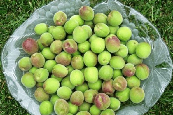 和自己喜爱的人过年多吃3种幸福果寓意幸福安康