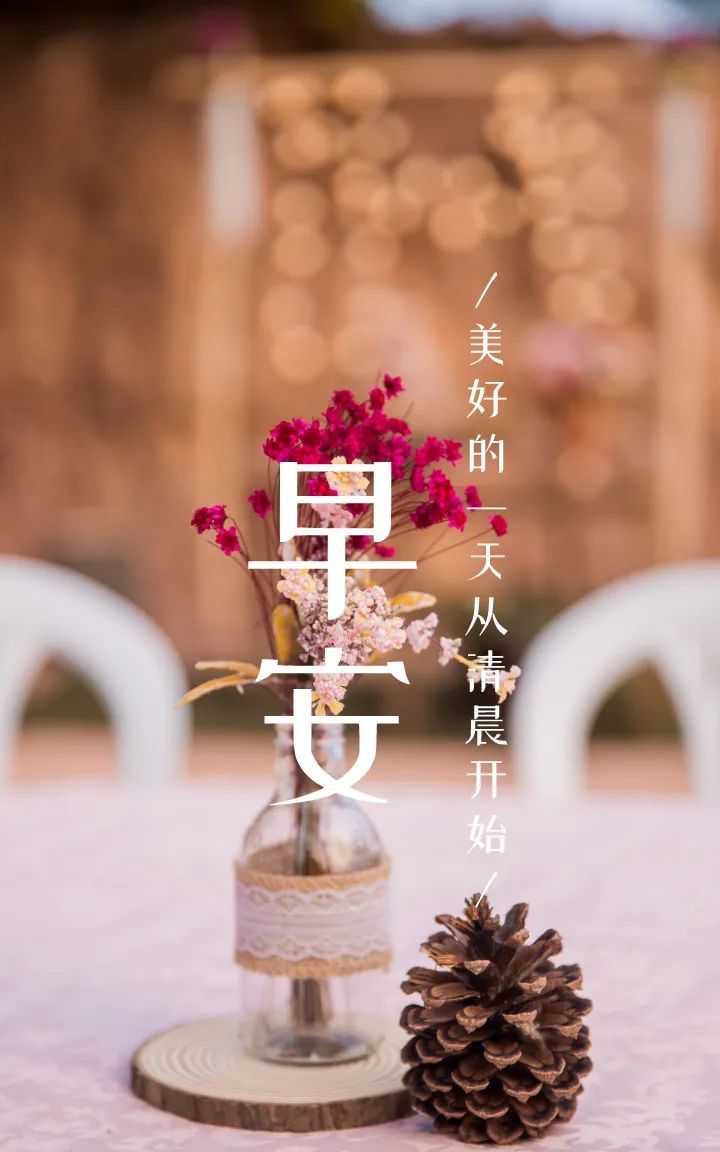 今日早安语录励志文案图片|干劲|语录|本钱_新浪新闻