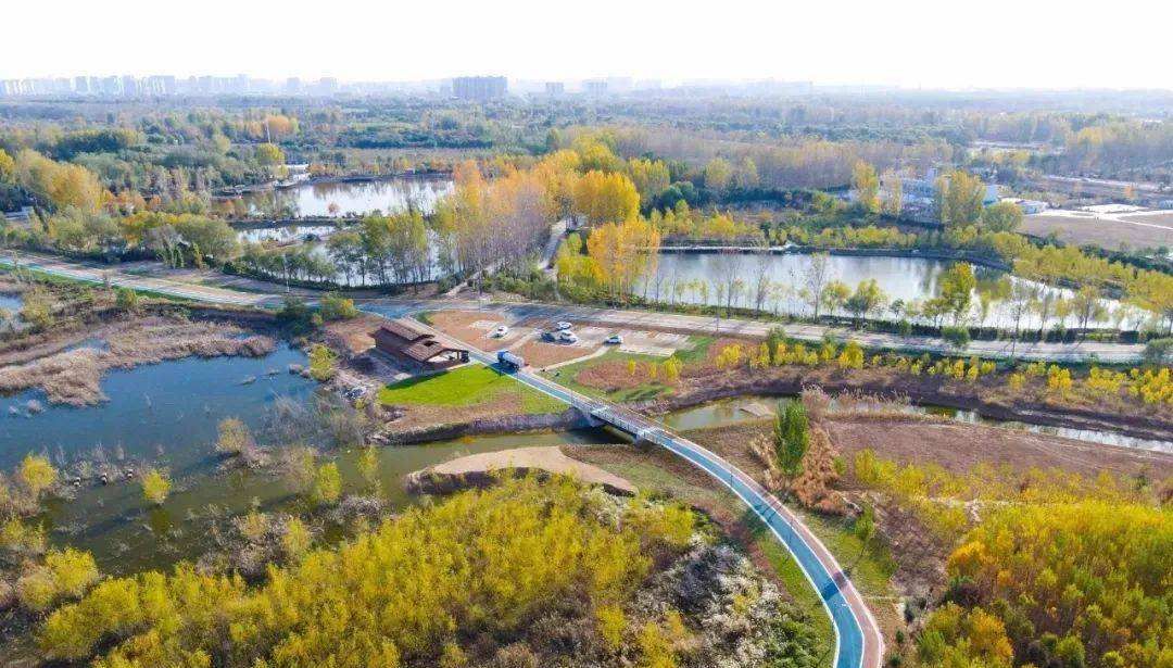 候鸟越冬繁殖的绝佳圣地郑州黄河国家湿地公园