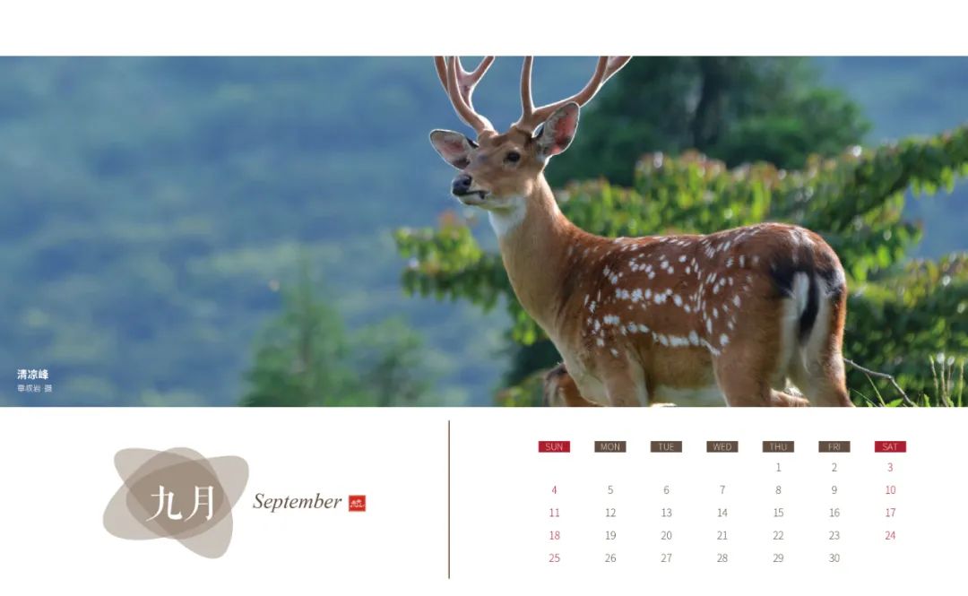 每一帧都是大片！2022杭州风景日历出炉！一整年的假期攻略都帮你做好了休闲区蓝鸢梦想 - Www.slyday.coM