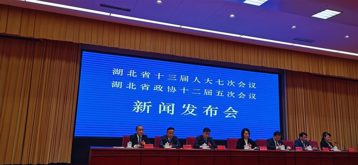 湖北省人大代表陈平：把花湖机场建成武汉城市圈重要引擎，今年从这三个方面发力