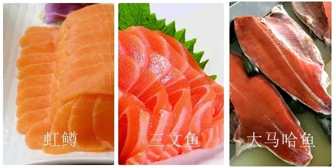 科学有意思 | 如何识别真假三文鱼?