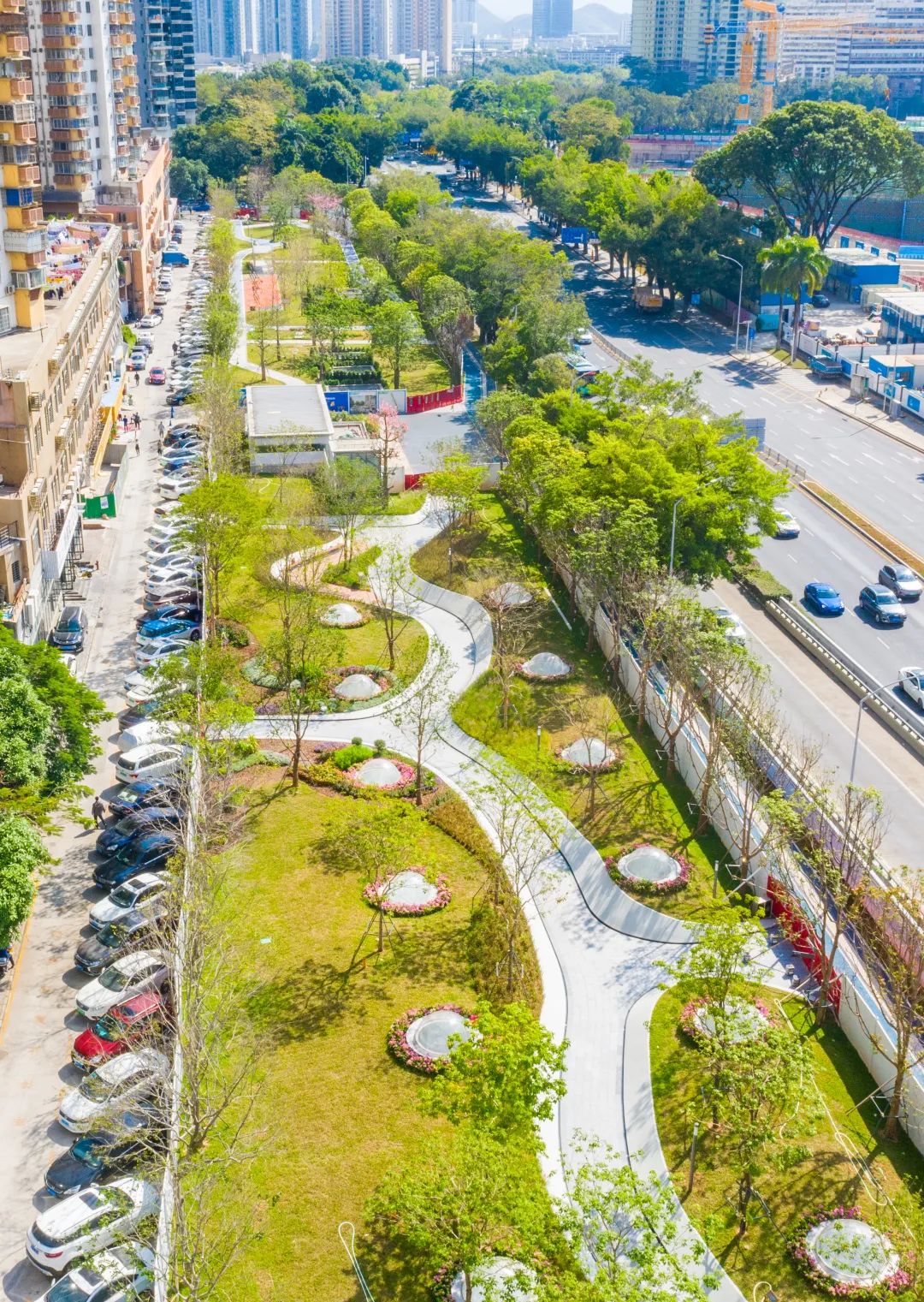 美美哒深圳市中心这个新公园火了