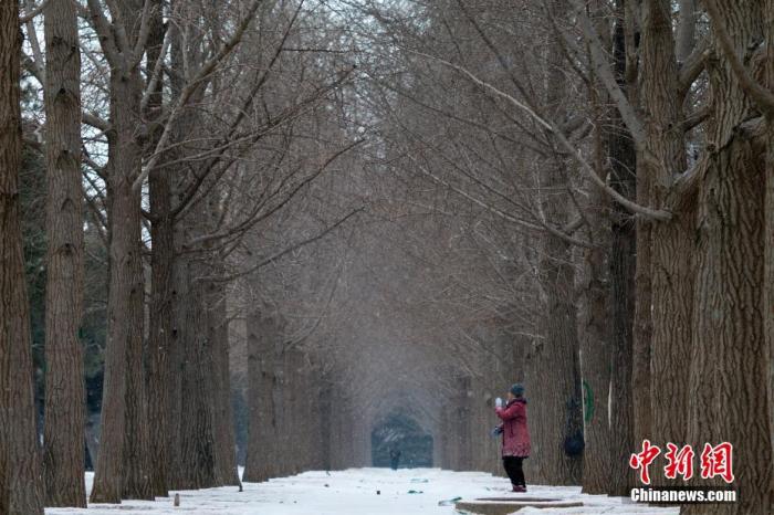 资料图：市民在雪中锻炼。 中新社记者 盛佳鹏 摄