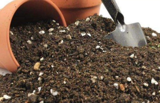 什么专用土、通用土，都不如自己“调配”，适合环境的才是最好的休闲区蓝鸢梦想 - Www.slyday.coM