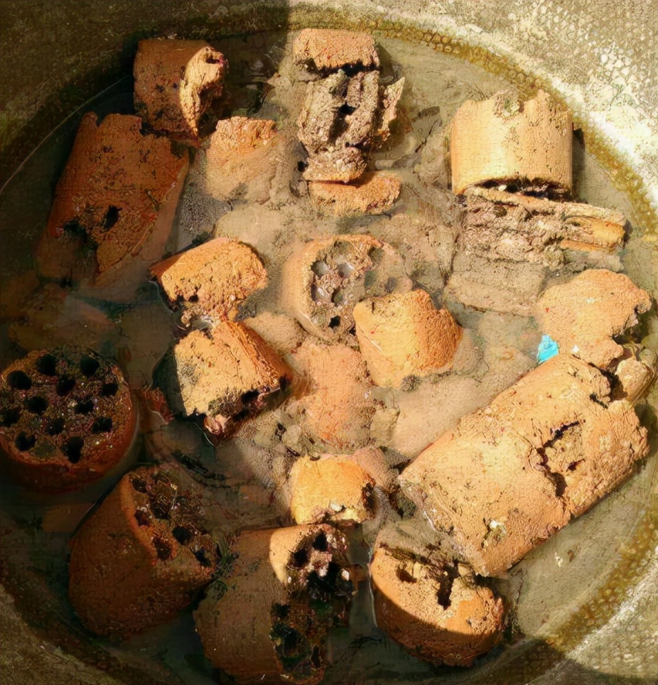 什么专用土、通用土，都不如自己“调配”，适合环境的才是最好的休闲区蓝鸢梦想 - Www.slyday.coM