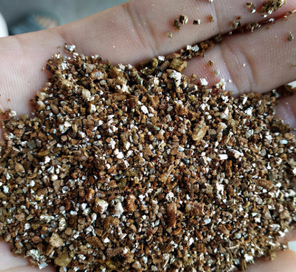 什么专用土、通用土，都不如自己“调配”，适合环境的才是最好的休闲区蓝鸢梦想 - Www.slyday.coM