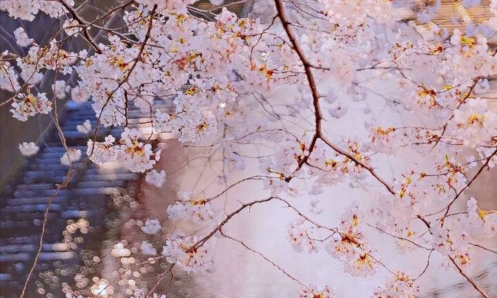 人生下半场逆袭的星座，晚年好，才算是真正的人生顺遂休闲区蓝鸢梦想 - Www.slyday.coM