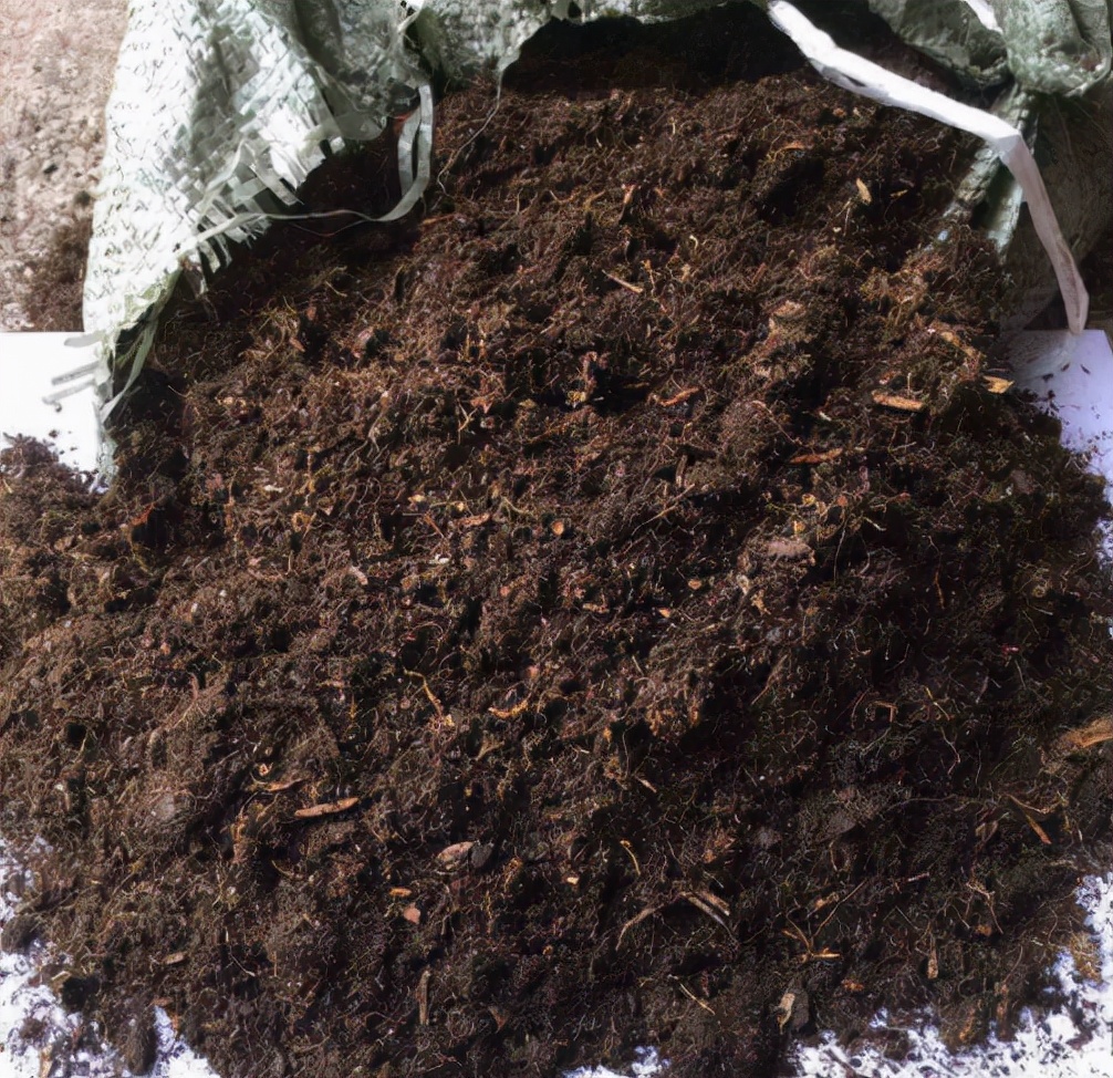 什么专用土、通用土，都不如自己“调配”，适合环境的才是最好的休闲区蓝鸢梦想 - Www.slyday.coM