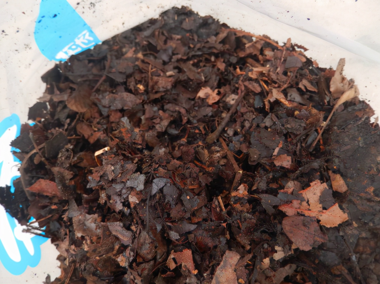 什么专用土、通用土，都不如自己“调配”，适合环境的才是最好的休闲区蓝鸢梦想 - Www.slyday.coM