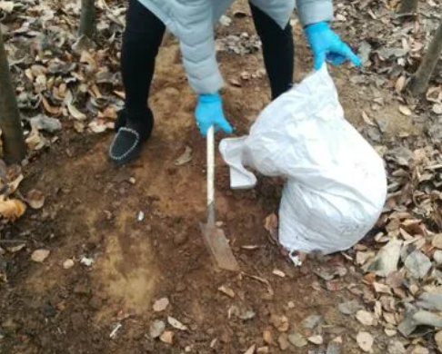 什么专用土、通用土，都不如自己“调配”，适合环境的才是最好的休闲区蓝鸢梦想 - Www.slyday.coM