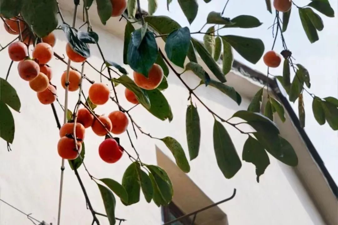 这才是你工作一年真正的“福报”休闲区蓝鸢梦想 - Www.slyday.coM