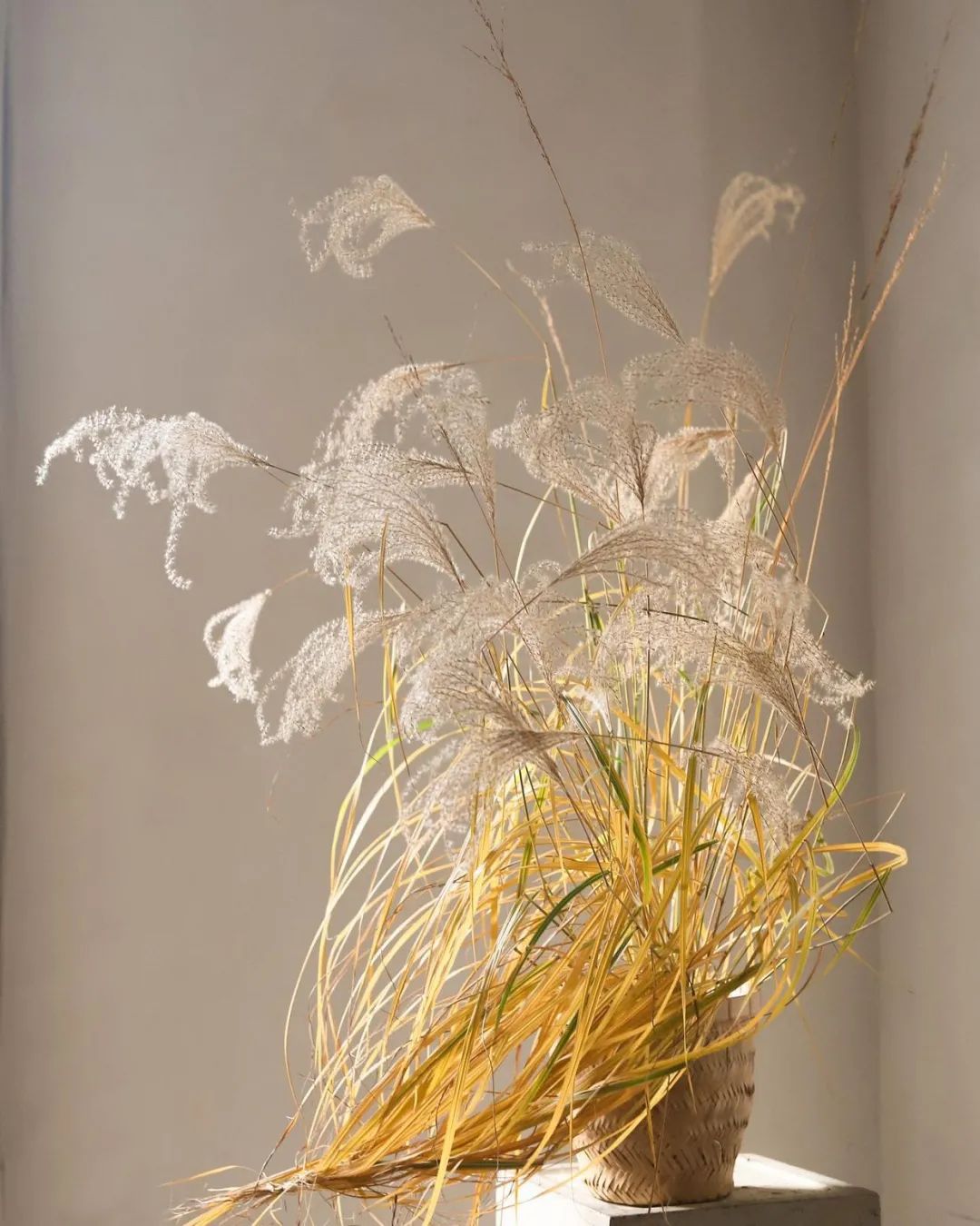 她的枯枝插花法百看不厌连干辣椒都灵气十足