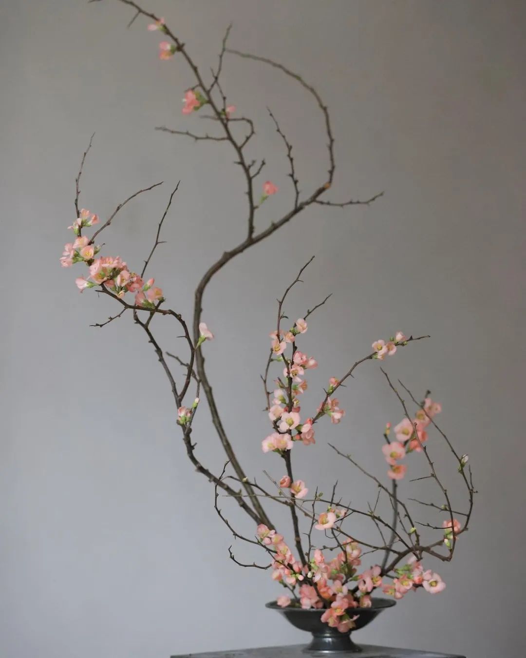 她的枯枝插花法百看不厌连干辣椒都灵气十足