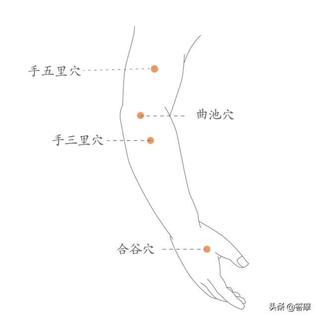 大肠经的易堵塞穴位分别是手五里穴,曲池穴,手三里穴,合谷穴.