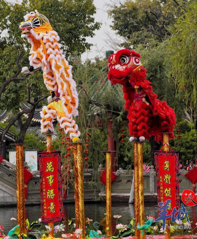 雄狮少年在线观看完整版免费