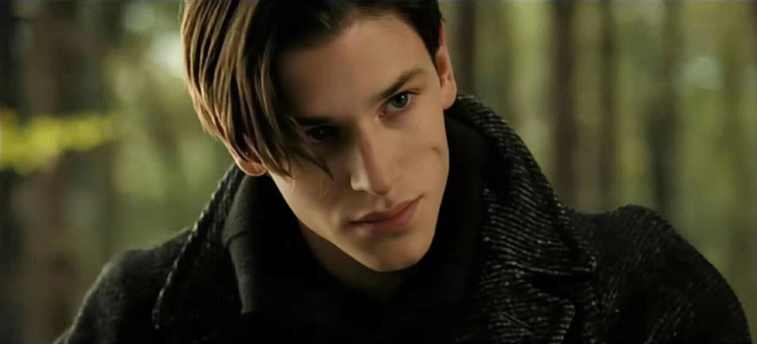 建模脸第一帅从此易主…|阿兰·德龙_新浪新闻