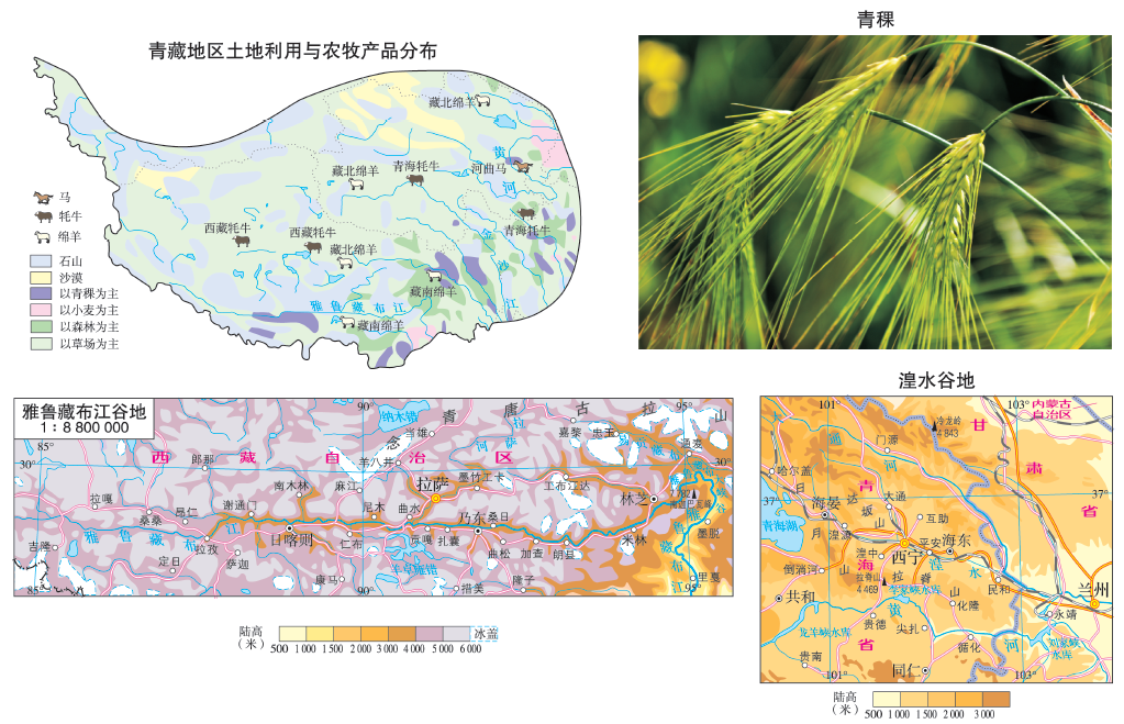 地理课堂高中区域地理青藏地区知识梳理附42条西藏地理冷知识