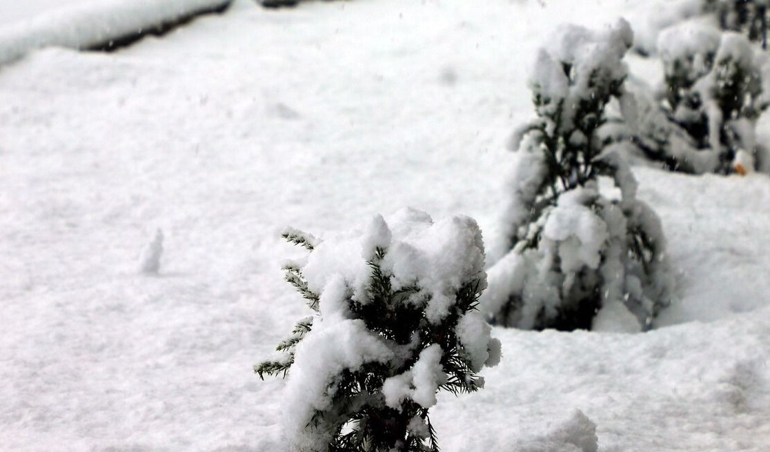 天气预报：今天是小年，撒哈拉沙漠下了雪，25省雨雪，看农谚咋说休闲区蓝鸢梦想 - Www.slyday.coM