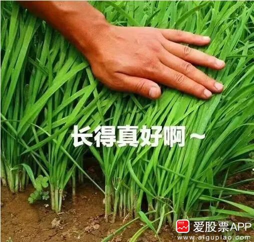 今晚，全球股市又崩了，明天A股能否逃过一劫！休闲区蓝鸢梦想 - Www.slyday.coM