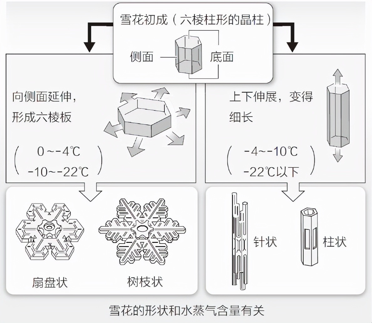 河南罕见罗面雪网友惊呼天上下大米是丰年的好兆头吗