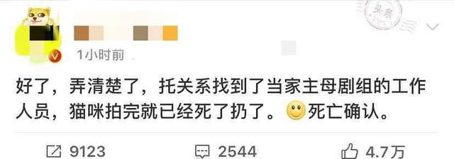 警方通报!当家主母因拍摄致猫死亡不成立,蒋勤勤曾为此发声休闲区蓝鸢梦想 - Www.slyday.coM 警方通报!当家主母因拍摄致猫死亡不成立,蒋勤勤曾为此发声休闲区蓝鸢梦想 - Www.slyday.coM