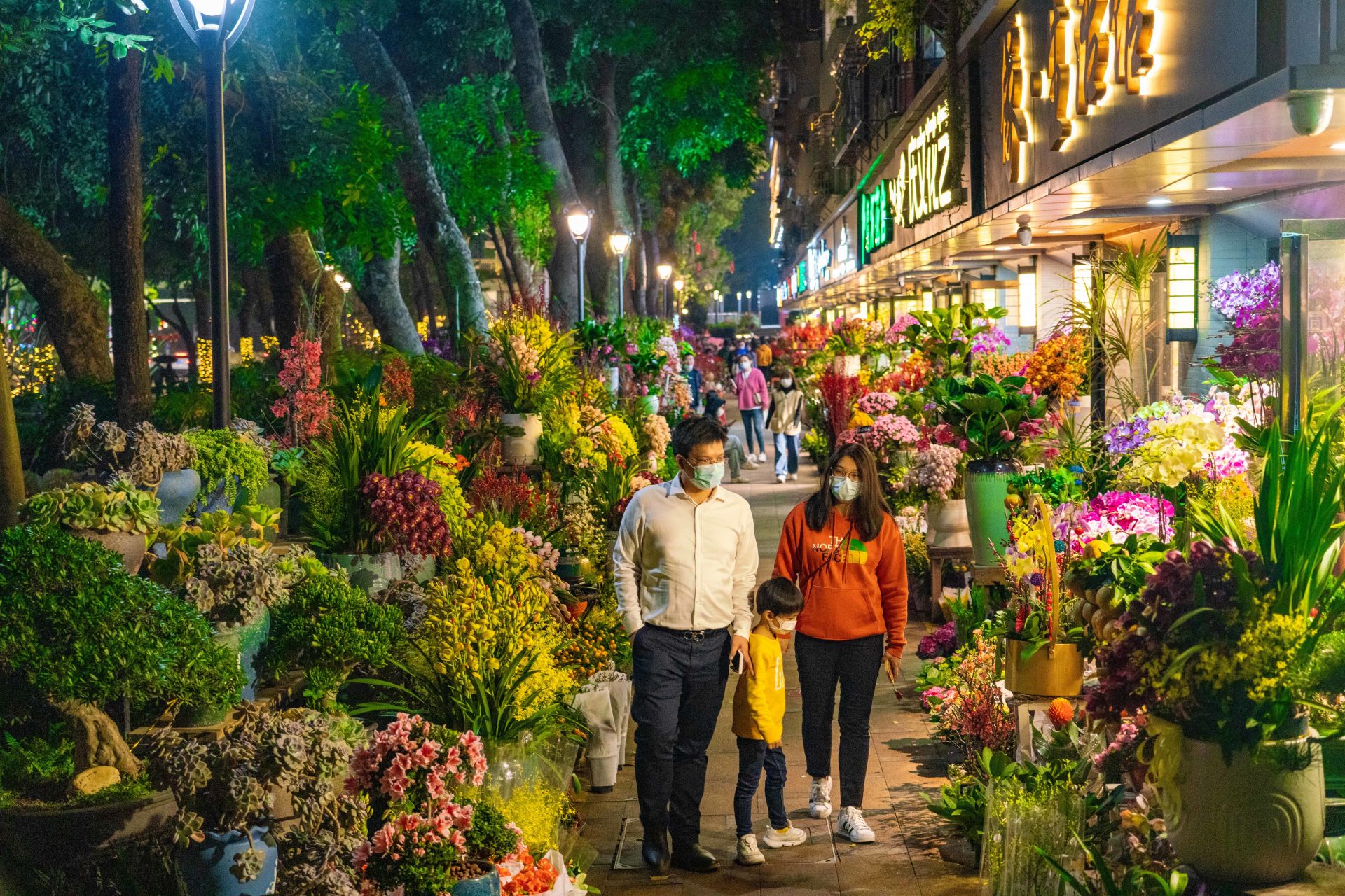 超2000个花档深圳350个购花点等你来还有线上花市云逛花街