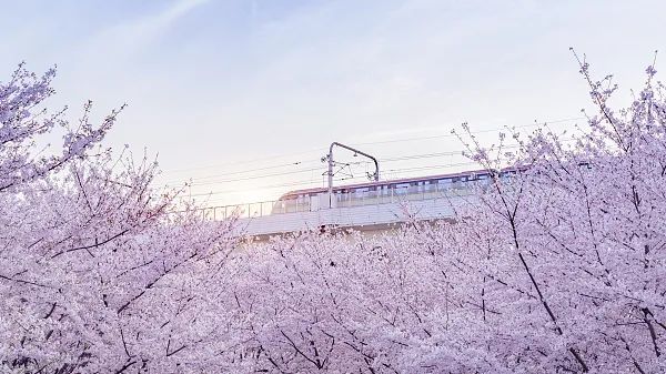 有乘客在上海坐地铁记下了123个工号？本人现身，真相大白休闲区蓝鸢梦想 - Www.slyday.coM