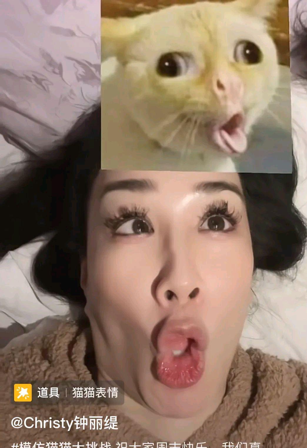 化着精致的妆容,躺在床上卖力模仿猫咪的表情包,各种扮丑不扭捏,丝毫