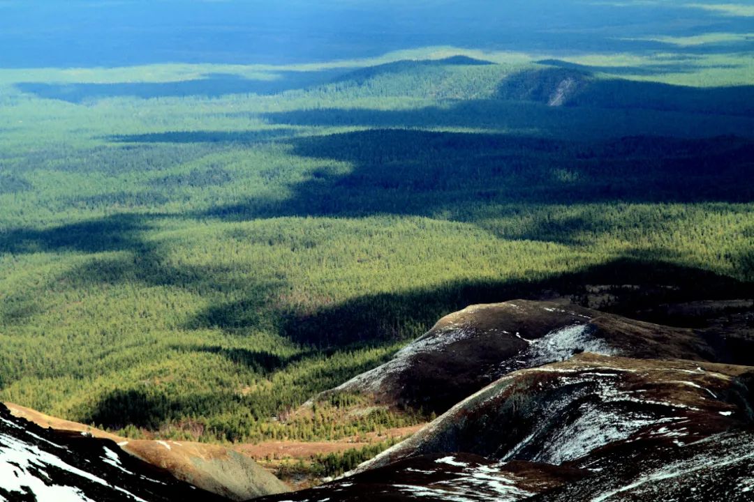 长白山北坡苔原带森林.