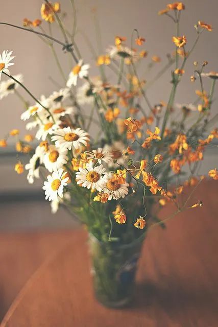 晚情：春节，女人回婆家过年，这3件事一定要牢记！休闲区蓝鸢梦想 - Www.slyday.coM