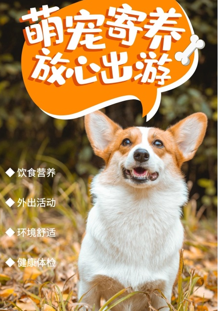 宠物寄养服务开始预订春节期间费用普涨510