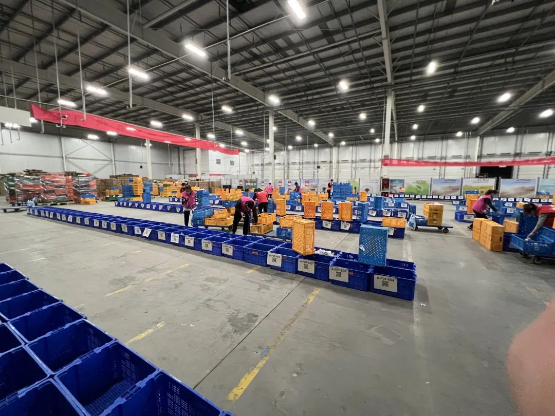 搭板房买行军床申通网格仓架起传递温暖的桥梁