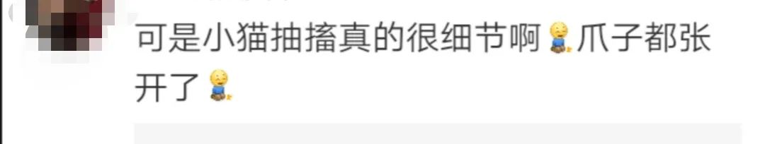 真相来了！警方通报：剧组因拍摄致猫死亡等事实不成立休闲区蓝鸢梦想 - Www.slyday.coM