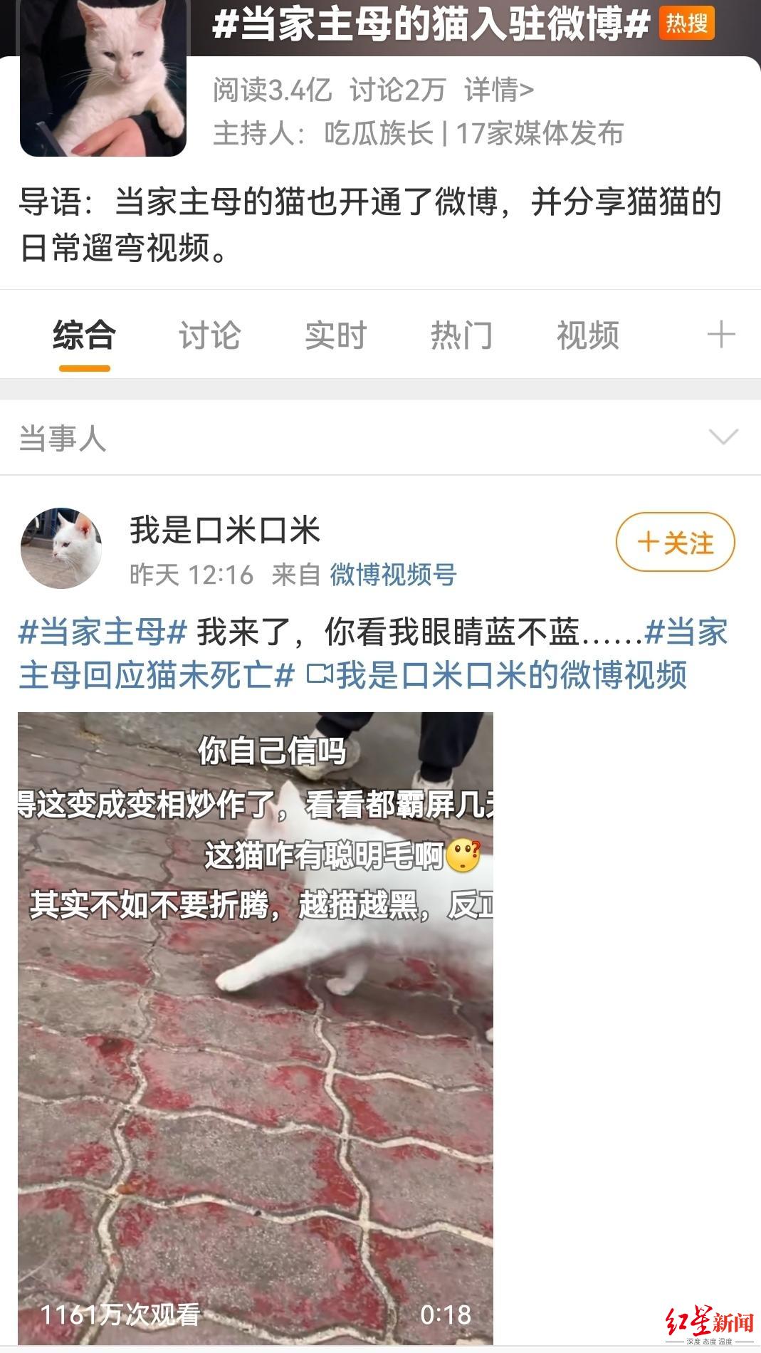 警方通报：《当家主母》致猫死亡等事实不成立！事件经过回顾休闲区蓝鸢梦想 - Www.slyday.coM