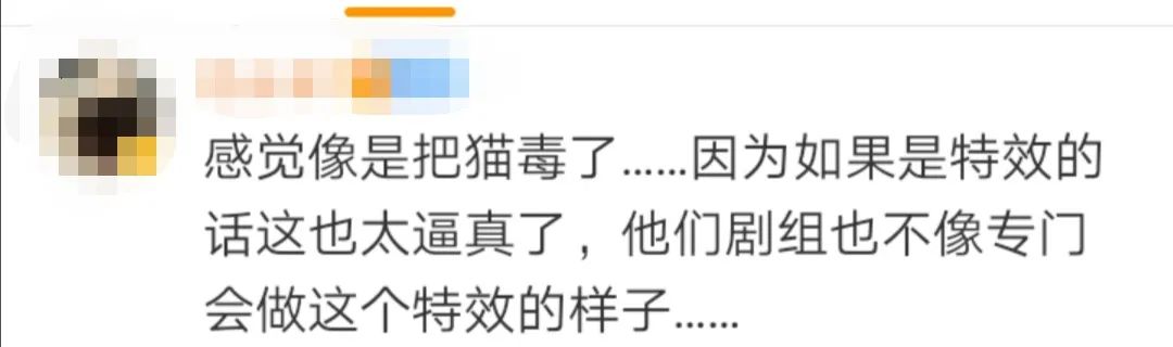 真相来了！警方通报：剧组因拍摄致猫死亡等事实不成立休闲区蓝鸢梦想 - Www.slyday.coM