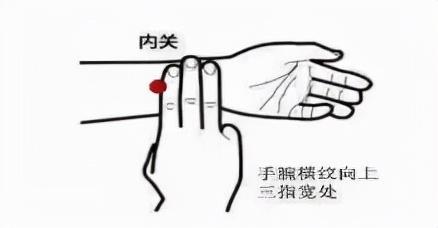 内关穴位于手腕掌侧腕横纹2横指的凹陷处.