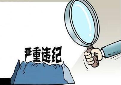 最高人民法院审判委员会原委员孟祥严重违纪违法被双开休闲区蓝鸢梦想 - Www.slyday.coM