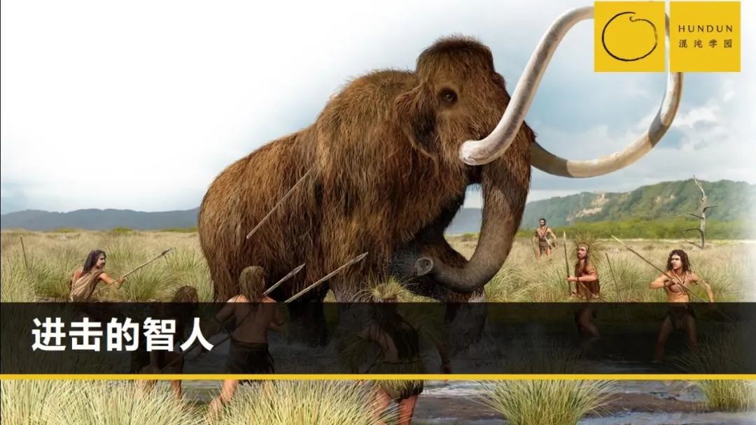 猛犸象非常大,帝王猛犸象高达6米,比今天的象差不多要大一倍半.