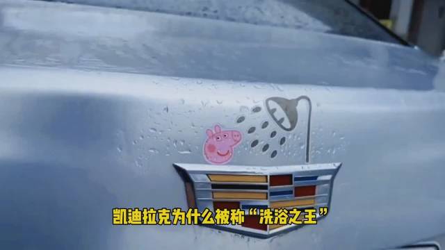 这就是凯迪拉克为什么"称洗浴之王"的原因