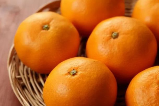 今天是小年全家上下都很开心,准备3种幸福果,寓意幸福安康休闲区蓝鸢梦想 - Www.slyday.coM 今天是小年全家上下都很开心,准备3种幸福果,寓意幸福安康休闲区蓝鸢梦想 - Www.slyday.coM