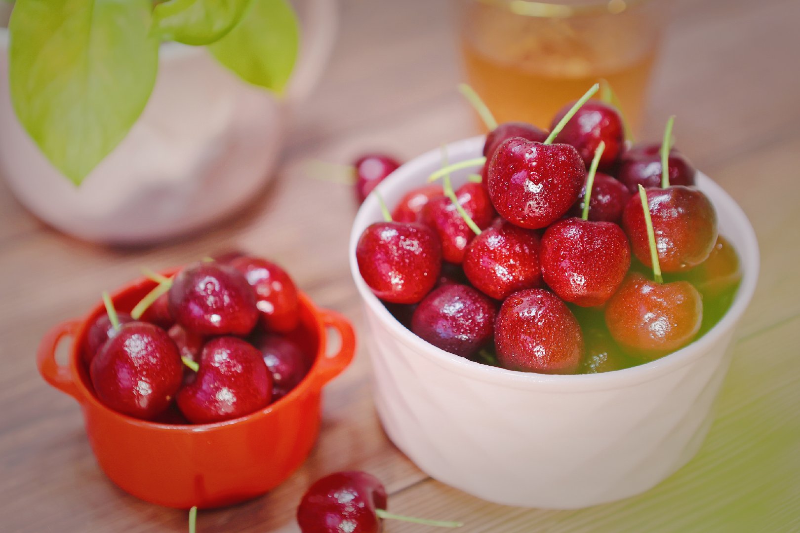 来啦来啦来啦,大口吃车子里的时候又到啦~要说瞧瞧最爱的水果……休闲区蓝鸢梦想 - Www.slyday.coM 来啦来啦来啦,大口吃车子里的时候又到啦~要说瞧瞧最爱的水果……休闲区蓝鸢梦想 - Www.slyday.coM