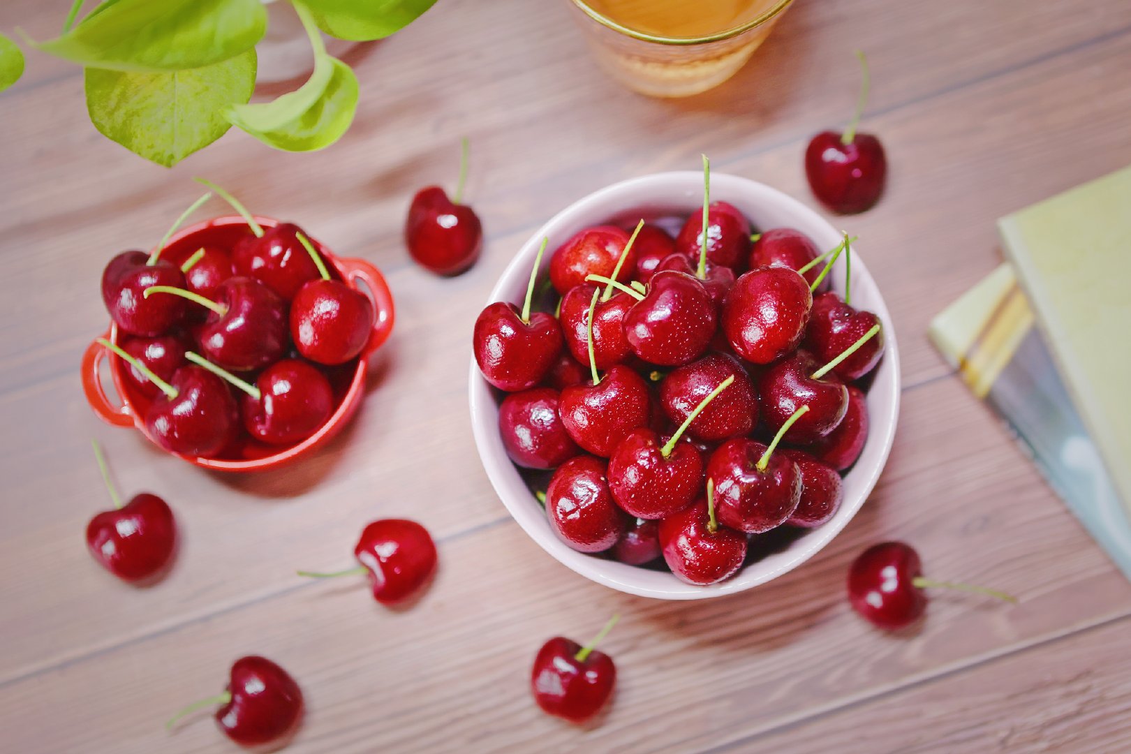 来啦来啦来啦,大口吃车子里的时候又到啦~要说瞧瞧最爱的水果……休闲区蓝鸢梦想 - Www.slyday.coM 来啦来啦来啦,大口吃车子里的时候又到啦~要说瞧瞧最爱的水果……休闲区蓝鸢梦想 - Www.slyday.coM