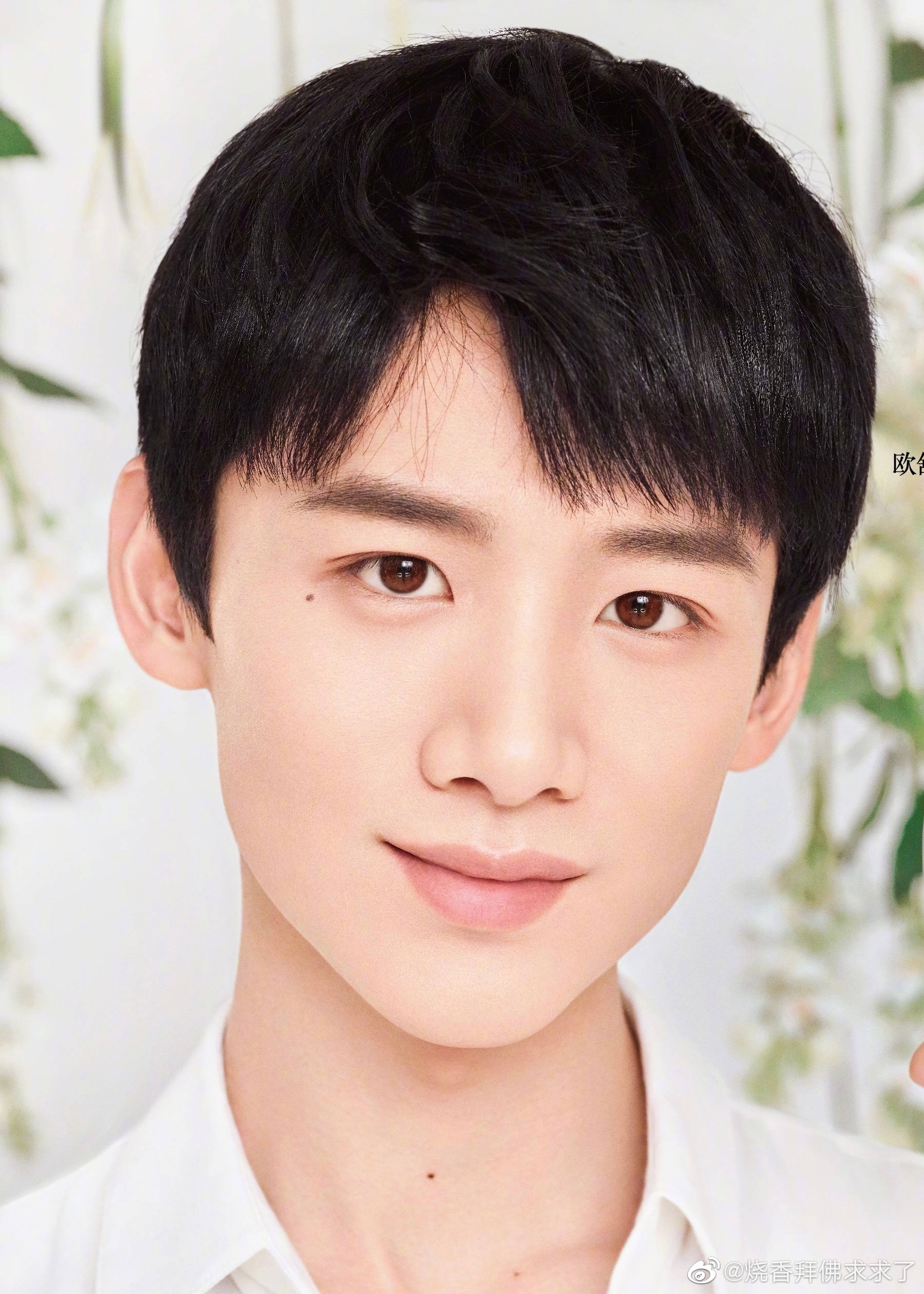 白敬亭_新浪新闻