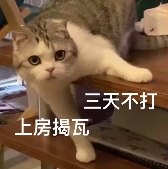 分享表情包 转发这个金钱豹