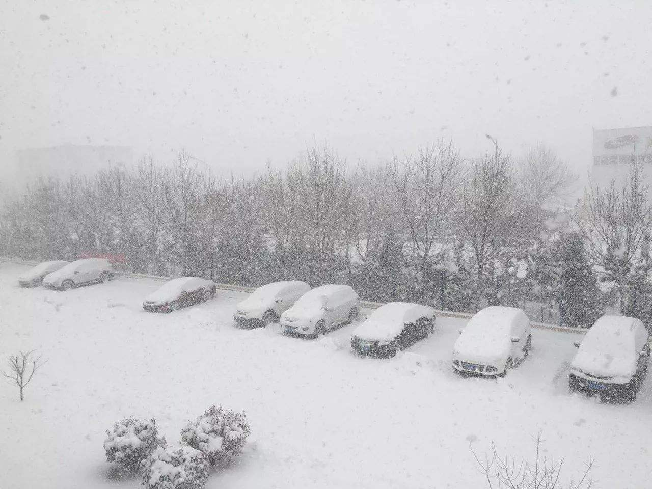 特大暴雪席卷南方今年来最强雨雪过程来袭20多省都要下